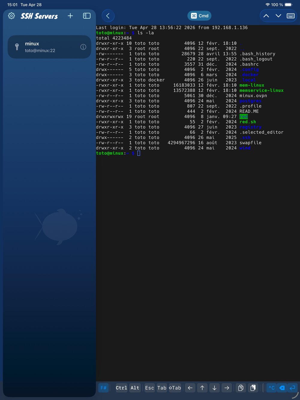 iPad split view