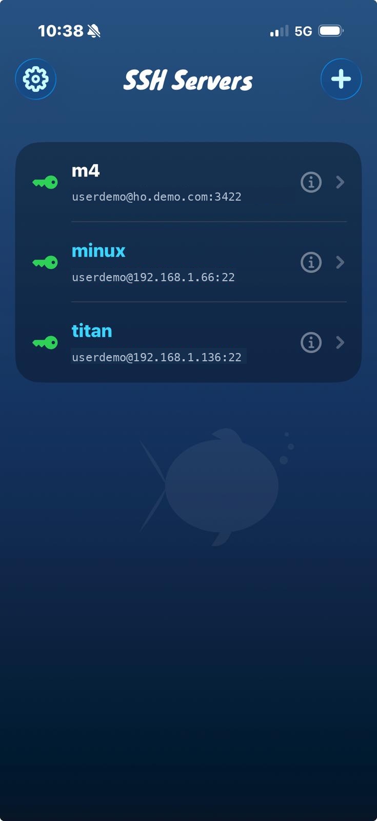 Liste des serveurs SSSH avec serveurs locaux en cyan