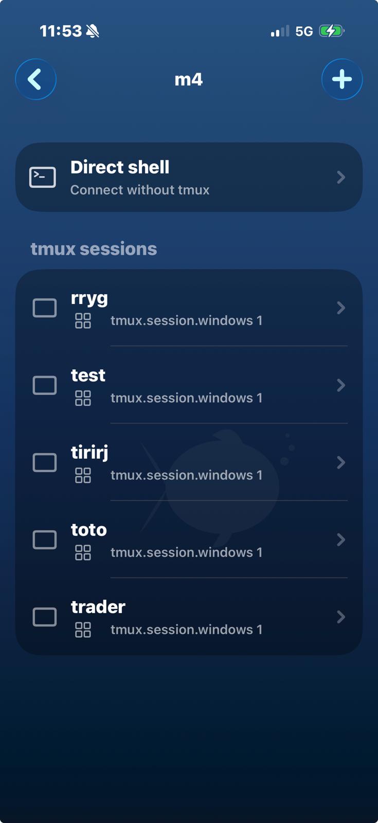 Liste des sessions tmux SSSH